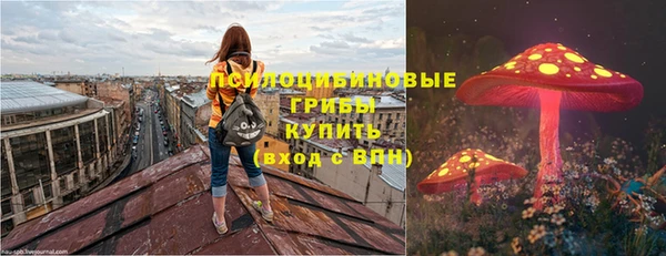 меф Алексин