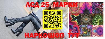 СК Волгодонск