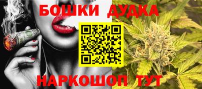 СК Волгодонск
