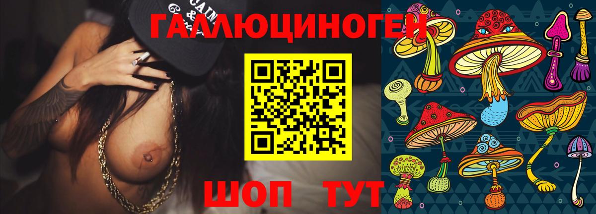 Благодарный  Галлюциногенные грибы Psilocybine cubensis  Вход с VPN 