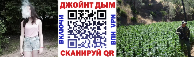 Конопля конопля Благодарный
